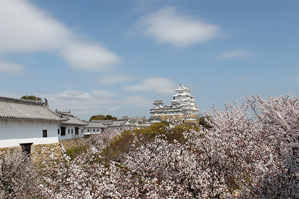 お知らせ①写真