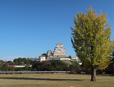 三の丸広場