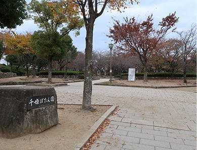 千姫ぼたん園